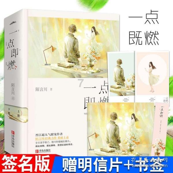 疯狂的小偷